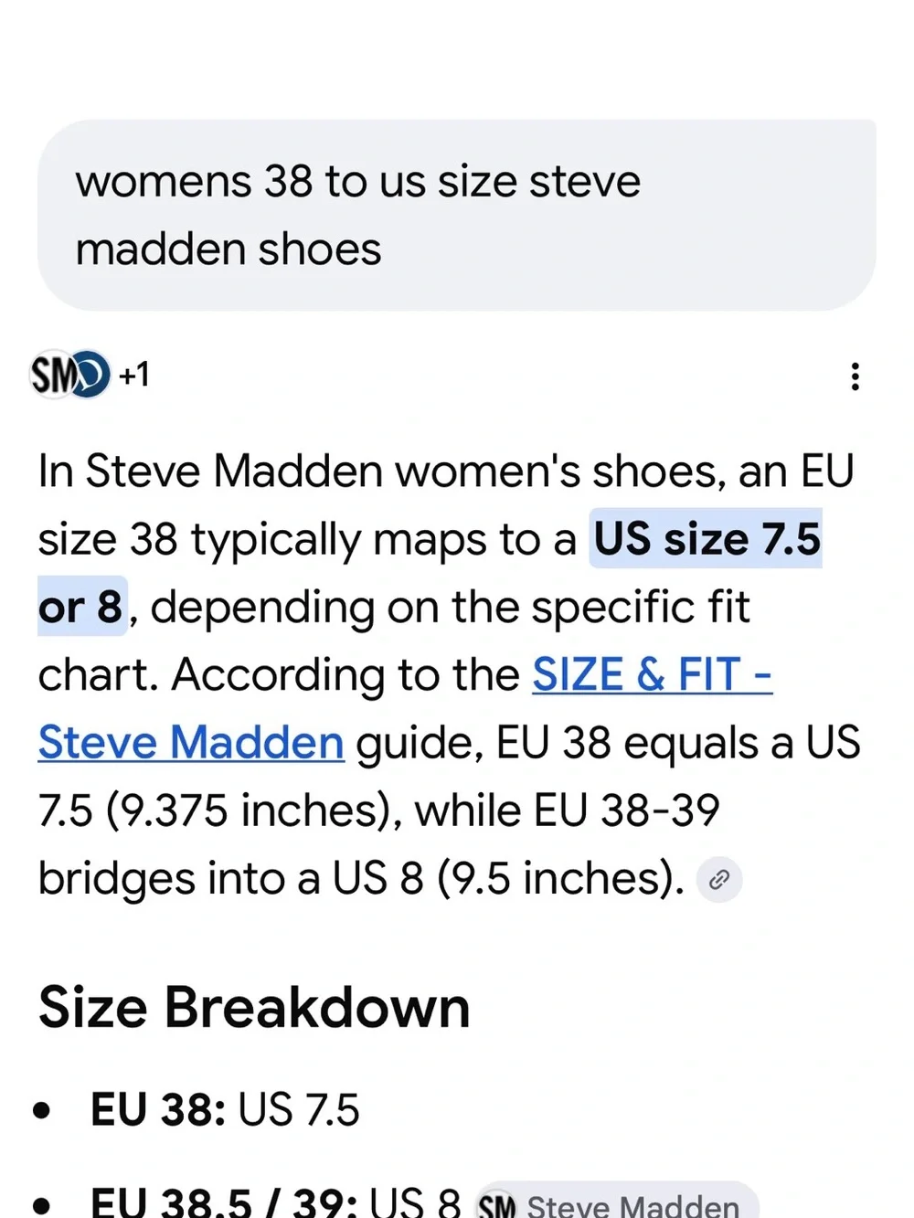 Steve Madden Arwen Brown Platform Slide Sandals